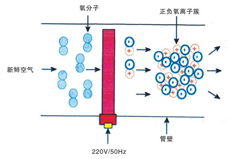 活性氧离子除臭